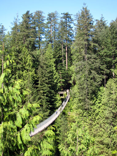 Capilano suspension bridge