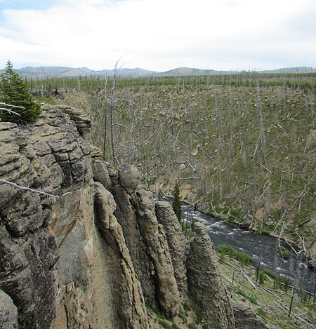 Yellowstone